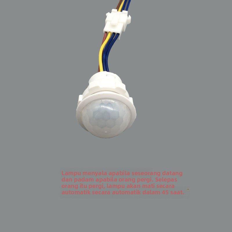 探测者220V红外线人体感应开关嵌入探头智能延时自动模块楼道LED