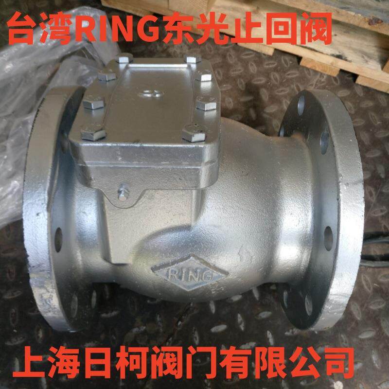 FIG.065铸铁横式逆止閥_台湾RING东光铸铁旋启式止回阀