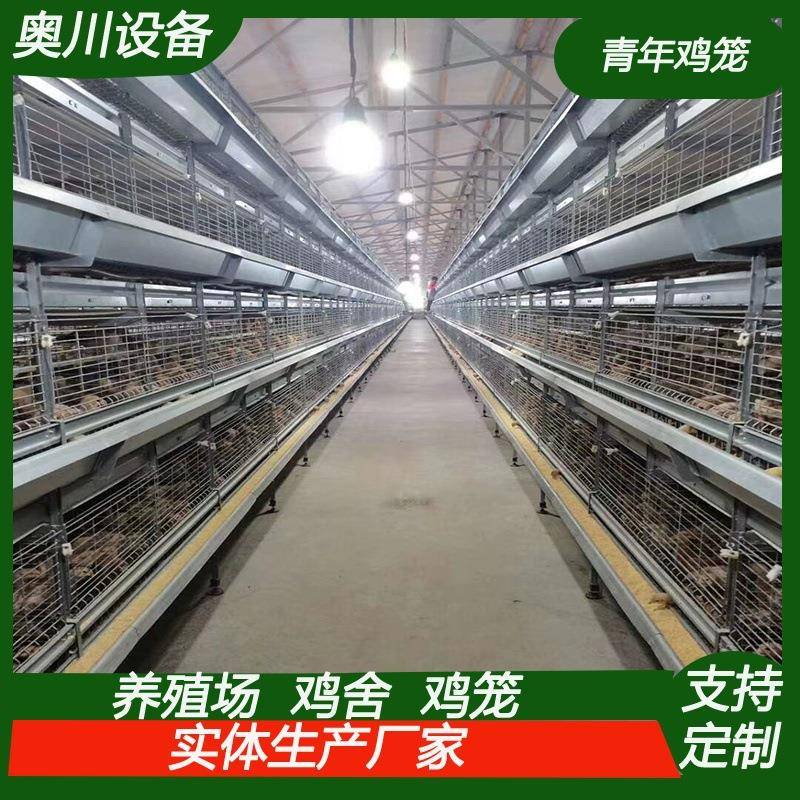 青年鸡笼全自动框架养鸡笼鸡舍养鸡场层叠式育雏设备四层育雏鸡笼