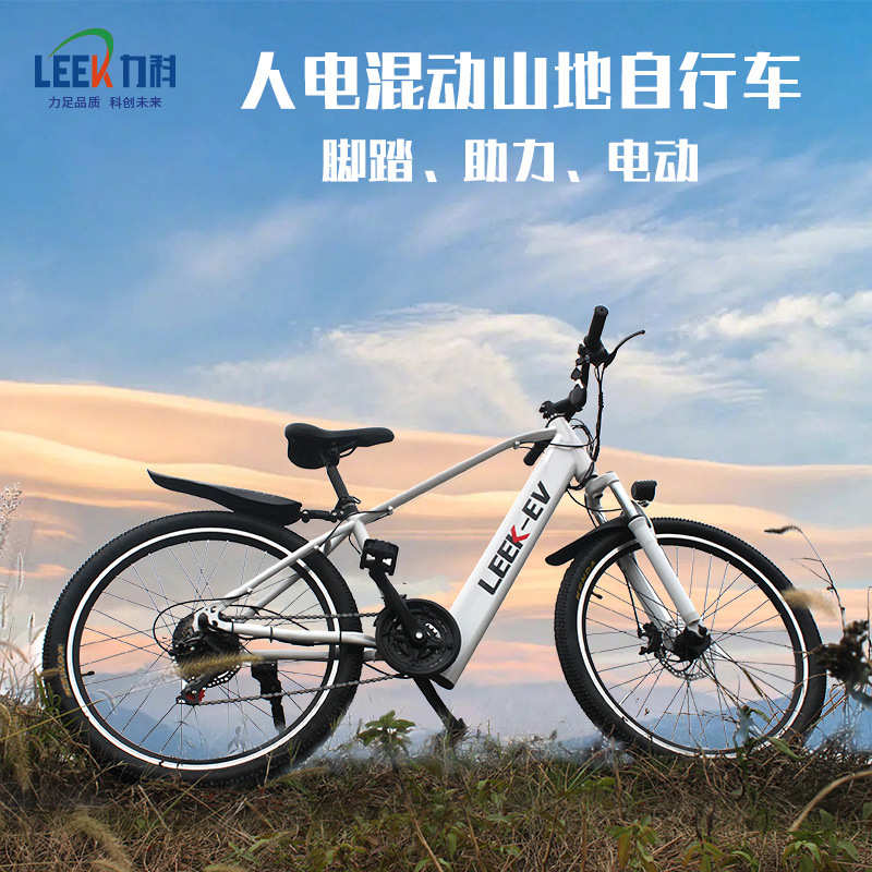 智能档36v山地速变自行车自行车锂电池单电动自行车速变助力-防盗