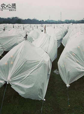 防水布厂家超轻果树水农业防雨白色克 农业 防水布pp45批发透气