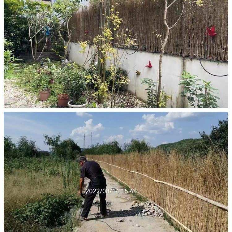 楠竹枝屋顶装饰细竹稍丝户外篱笆围墙农家民宿庭院栅栏竹枝条围栏