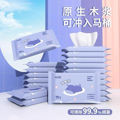 Family Value Pack of Flushable Wet Wipes for Toilets, Specia