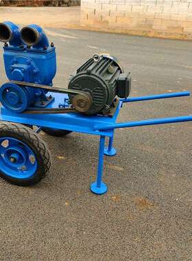 小型推车直吸式吸粪泵农田灌溉泥浆泵自吸力强