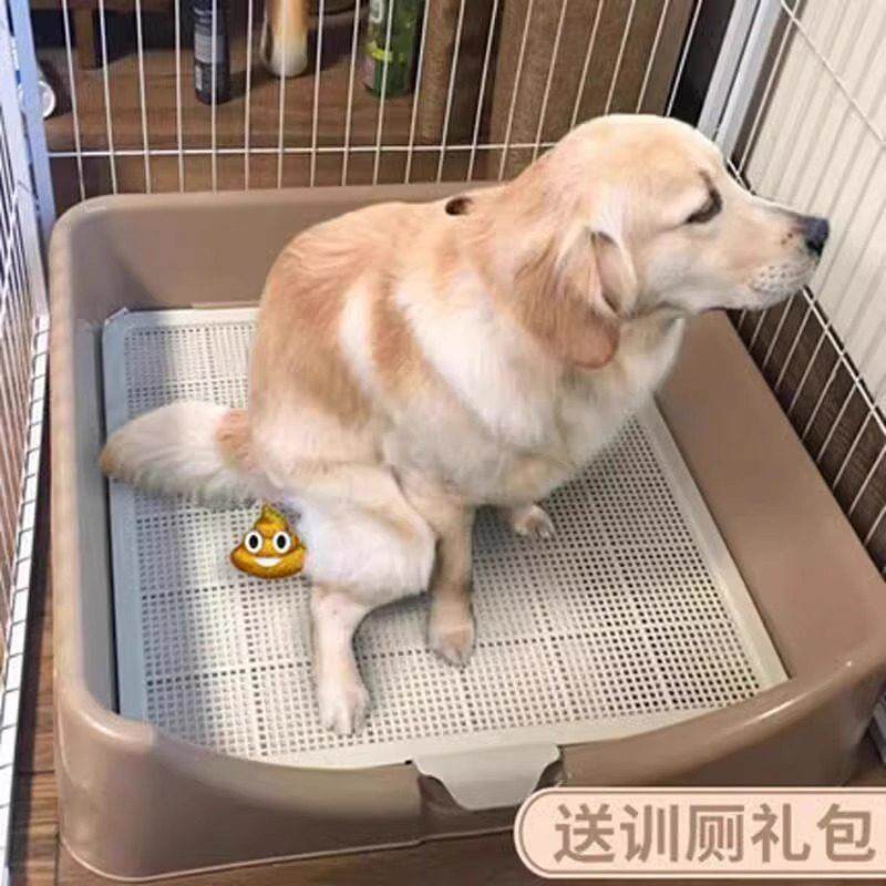宠物狗狗厕所大号拉屎拉布拉多狗便盆专用尿盆中型大型犬用品
