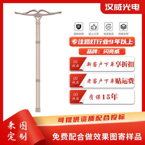新款LED市电路灯城市公路道路照明灯厂家高低臂双头市政路灯