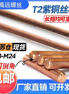 T2双头正宗紫铜牙条紫铜螺杆紫铜丝杆M3MM6M10M12M14M16M18