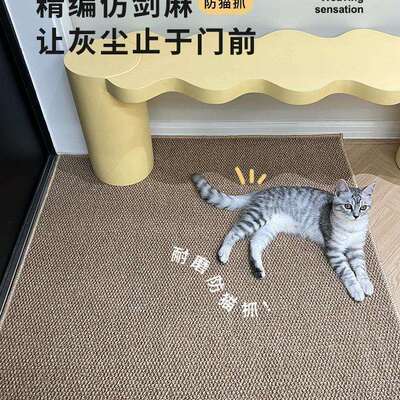 入户门地2裁025新仿剑款麻门垫进门口垫入F979H589门玄关门外地毯