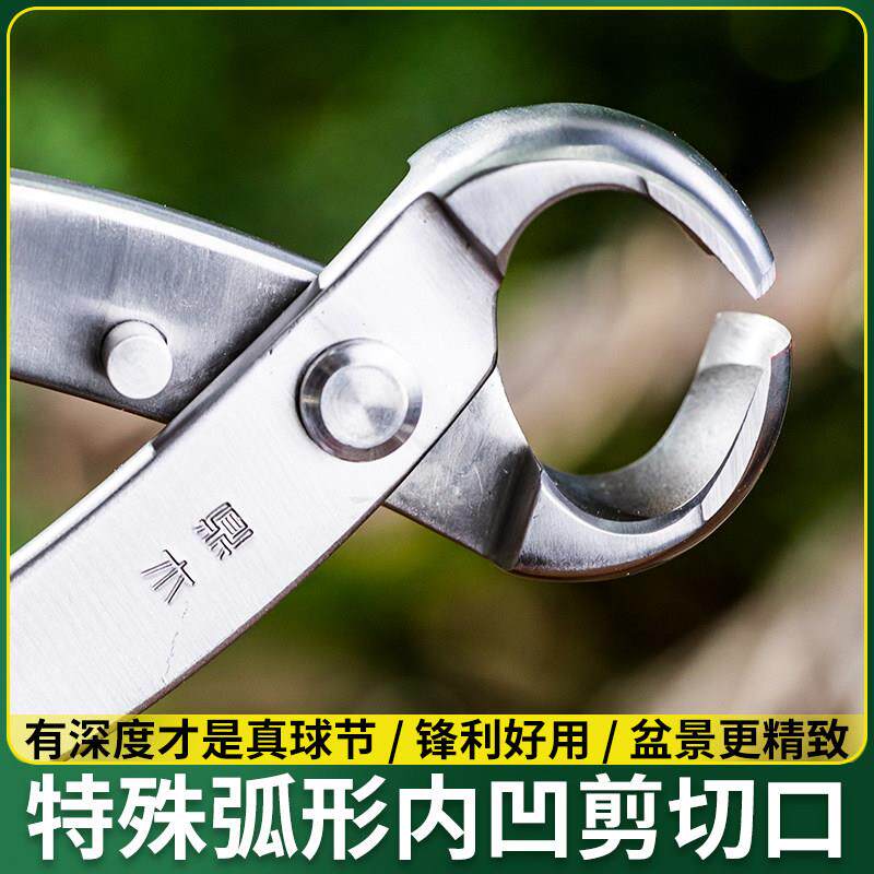 盆景修剪造型专用工具新款加厚球节剪不锈钢套装球形斜口剪刀球钳