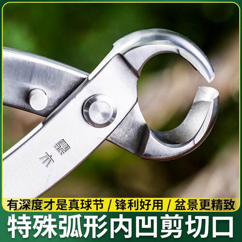 盆景修剪造型专用工具新款加厚球节剪不锈钢套装球形斜口剪刀球钳