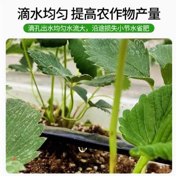 新型贴片式滴灌带16mm滴管农用滴灌管2000米微喷全套设备配件大全