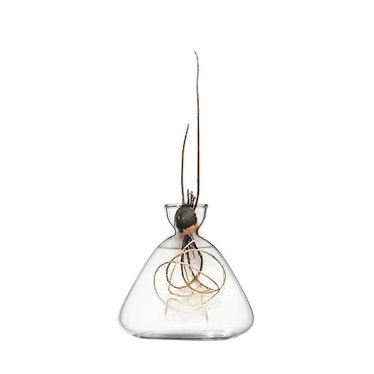 创意玻璃瓶水物容器绿萝养花装小花37培瓶干花植插花客厅摆件饰花