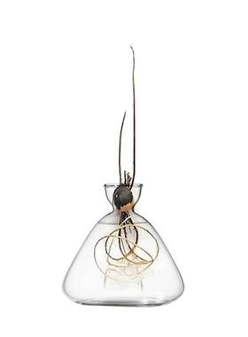 创意玻璃瓶水物容器绿萝养花装小花37培瓶干花植插花客厅摆件饰花