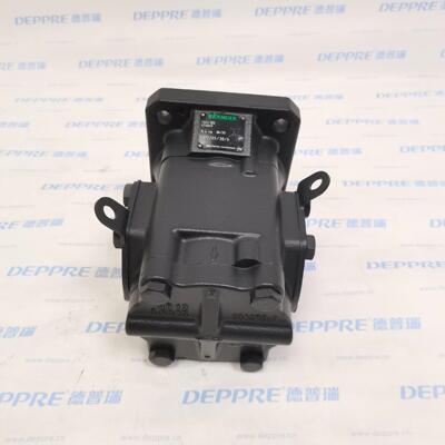 瑞克梅尔RICKMEIER齿轮泵R45/100 FL-Z-W-SAE2-R-P 474049