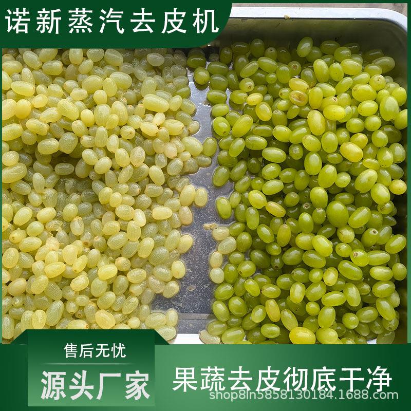 葡萄去皮设备红薯去皮机地瓜蒸汽去皮机葡萄罐头加工脱皮设备
