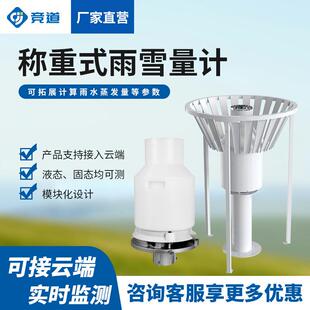 称重式雨雪量计高精度降雪降雨雨夹雪冻雨降水量监测雨雪量计