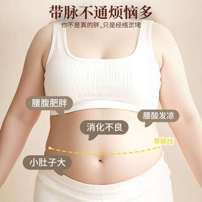 经络刷按摩肚子神器揉腹仪腹部按摩刷全身通用筋络刷带脉疏通工具