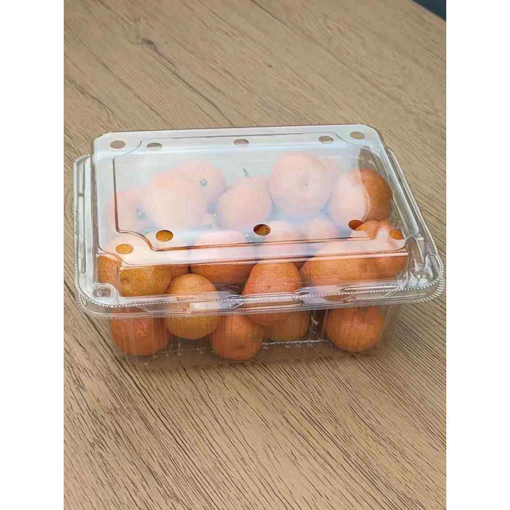 塑料一次性透明果切水果盒子食品盒糕点蛋糕打包盒长方形有盖包邮