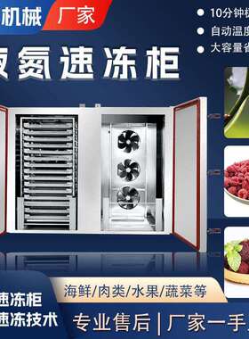 商用海鲜丸子速冻水饺食品速冻柜不锈钢液氮冰箱包子饺子冷冻柜