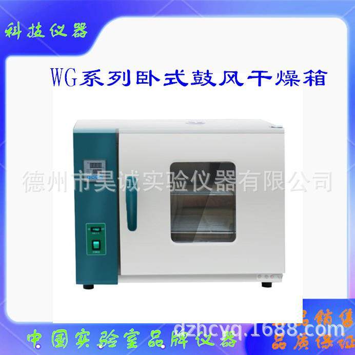 卧式电热鼓风干燥箱数显烘烤箱WG9220A天津