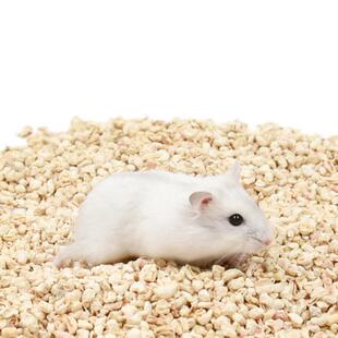 仓鼠木屑专用养仓鼠用的垫料除臭无尘木屑小仓鼠夏天夏季用品大全