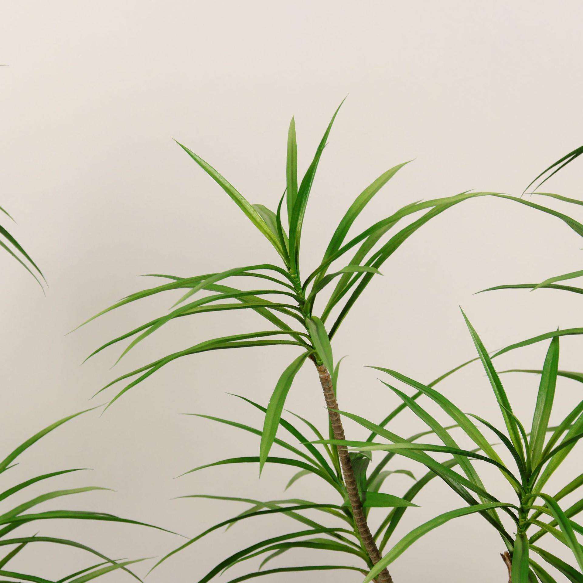 仿真龙舌兰盆栽带植物剑热商场装饰摆件龙麻血树绿RVJ植造景观龙