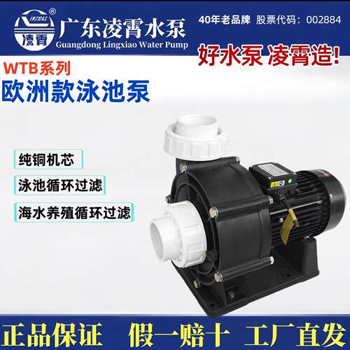 广东WTB系列泳池过滤循环泵海水养殖泵耐腐蚀水泵大流量水泵
