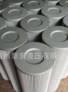 CVFS-32/24系列滤芯大全WFT-116060-3SGV1 PROPURE EA026055AF04N