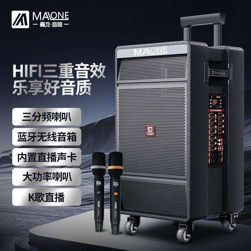 曼龙专业舞台音响大功率户外广场舞智能重低音话筒演唱会婚庆音箱
