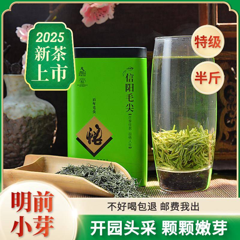 2025新茶叶信阳毛尖明前特级高山嫩芽手工绿茶农自产自销250g散装