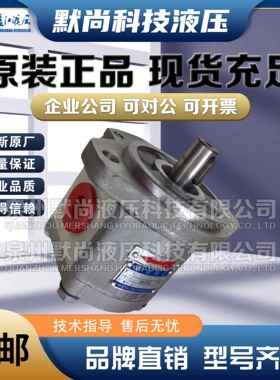 四川长江液压齿轮泵CBK1008-307R CBK1004/06/08/10-B1FRB1FL油泵