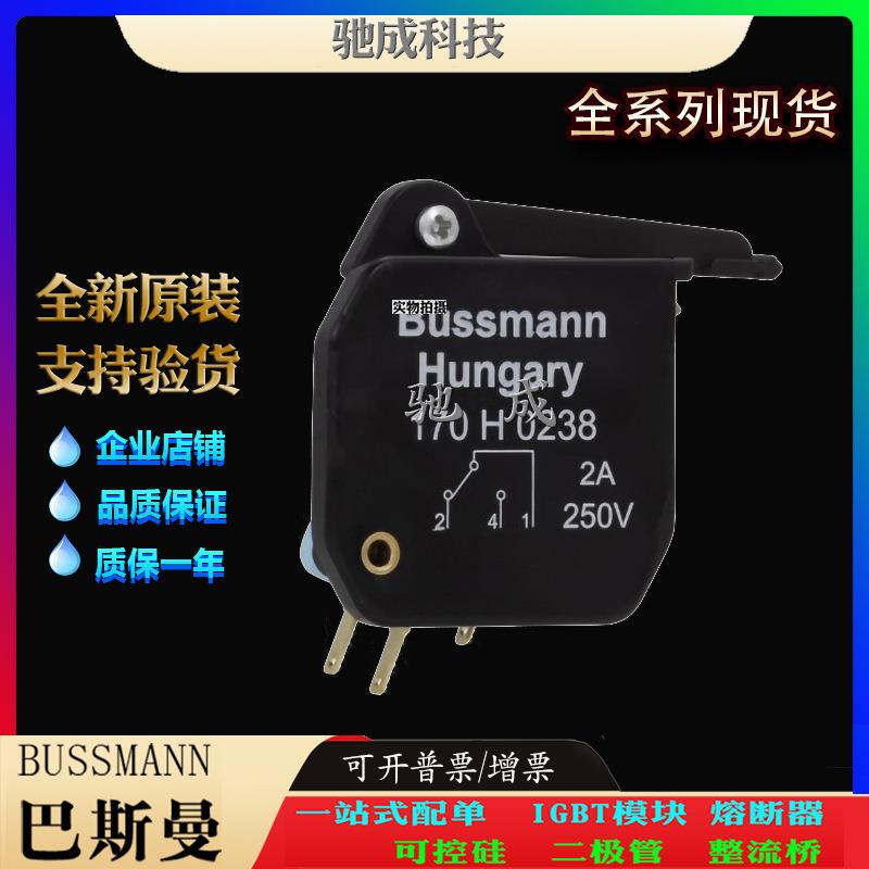 巴斯曼170H0237 170H0238 170H1007 厂家直供价格优惠 快速保险丝