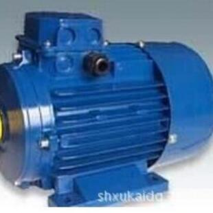 81.10KWTIANYANG电机 100L2