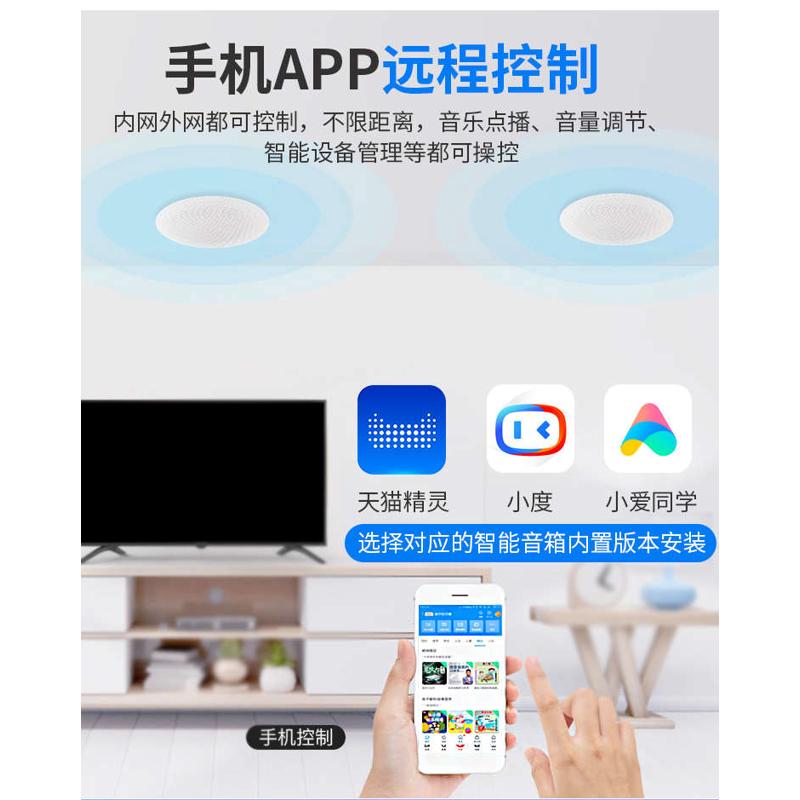 德国博士B&O音效无线蓝牙吸顶喇叭环绕天花吊顶智能家居音响套装