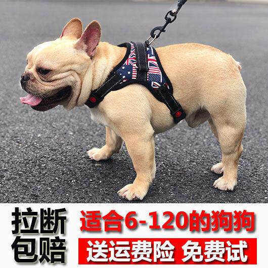 狗狗牵引绳背心式遛狗绳泰迪柯基法斗中小型犬胸抱婴袋狗炼 炼 子