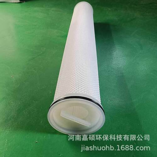 TBG-100-60-P-02电子工业高纯水前置过滤