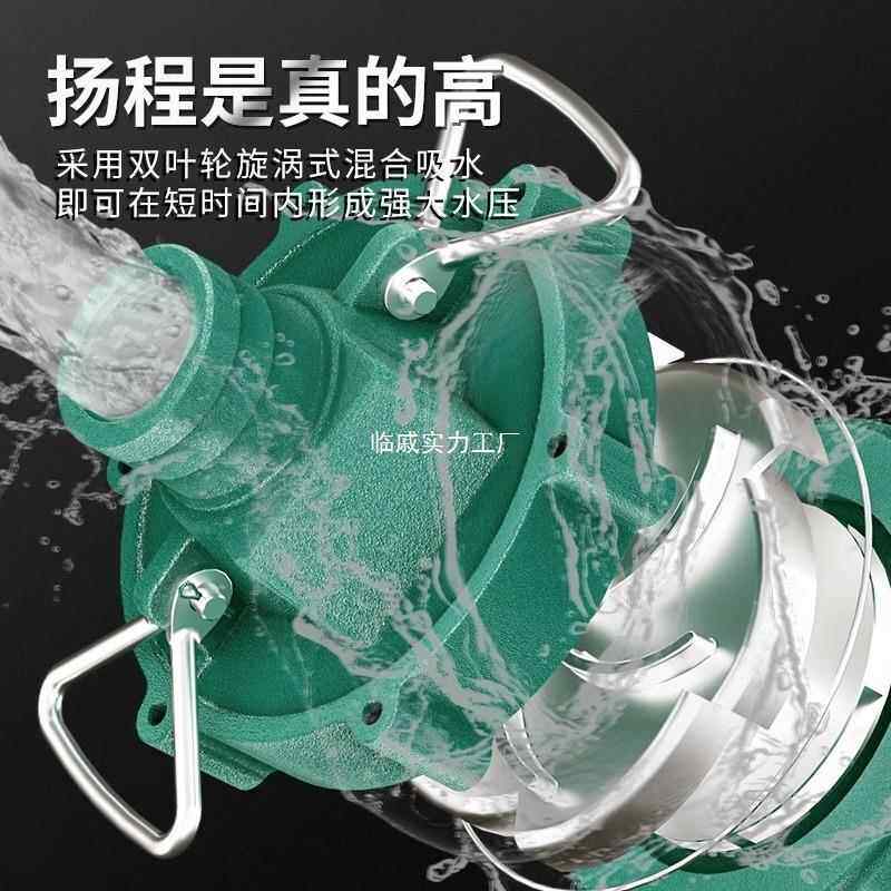 水泵220FBFV高扬程高压水泵灌2农用溉家用单相380V1寸寸深井抽水
