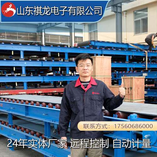 调速高精度配料秤全自动恒速计量电子皮带秤选矿定量给料机皮带秤