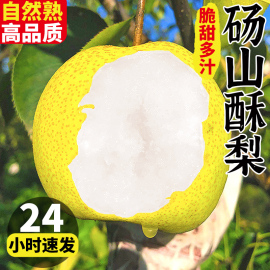 酥梨新鲜水果梨子10斤整箱冰糖雪梨5香脆梨砀山梨黄冠整箱