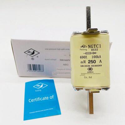 飞灵RS32 NGTC1-250A 690V-100KA快速熔断器200A160A上海电器陶瓷