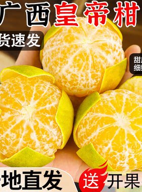 【产地直发】正宗广西皇帝柑