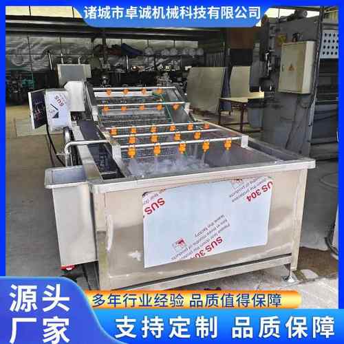 全自动小鱼仔清洗线牌蔬菜清洗设备304材质果蔬气泡清洗机