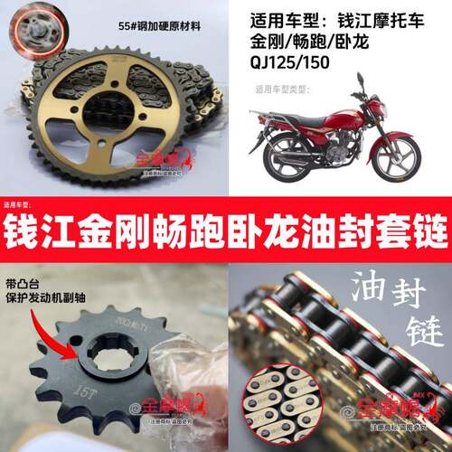 适用钱江金刚畅跑祥龙QJ125/150机车油封静音链条大小链盘套炼