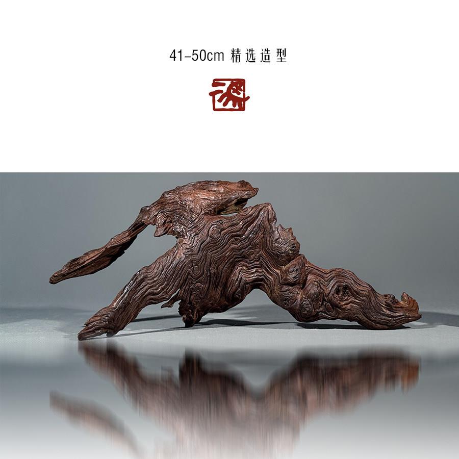 二马41-50cm沉木 鱼缸造景沉木树桩天然紫柚木鬃狮造景剃刀龟爬台