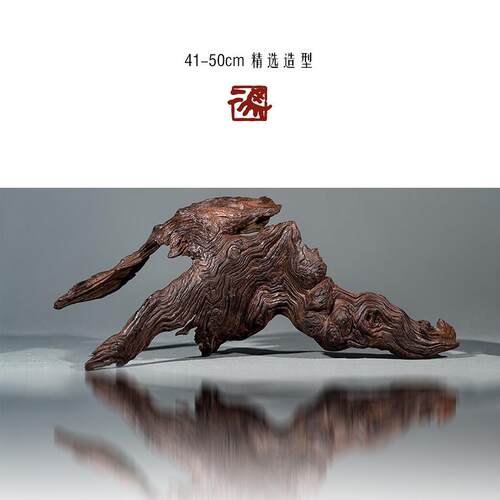 二马41-50cm沉木 鱼缸造景沉木树桩天然紫柚木鬃狮造景剃刀龟爬台