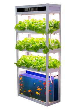 奥玛无土栽培立体室内蔬菜智能阳台鱼菜共生系统水培种植设备机架