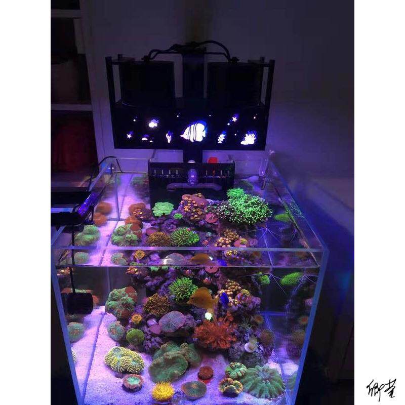 海缸补光灯灯全自动日出日落LED海水珊瑚灯微缸灯全光谱60方缸