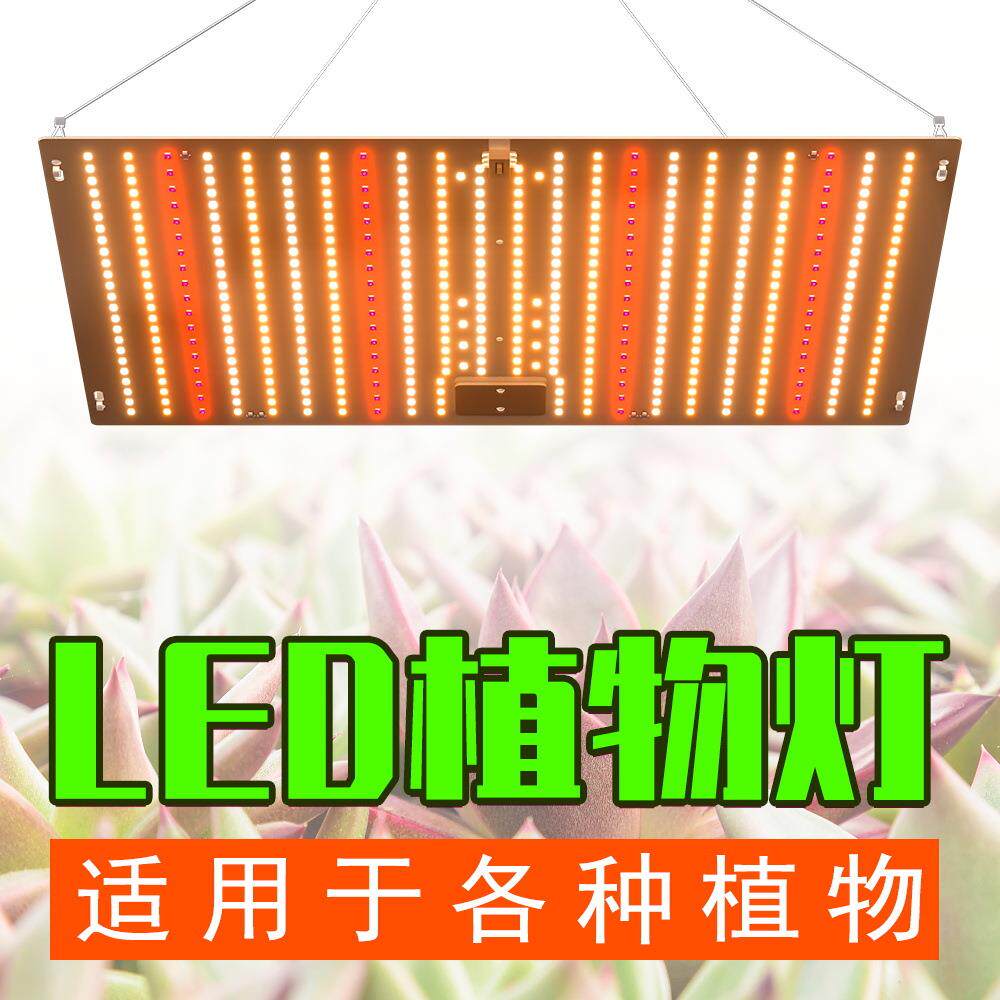 谦润照明LED量子植物灯全光谱户外种植灯温室育苗多肉植物补光灯