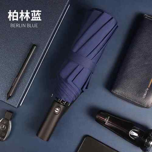 正品十二骨胶雨折叠全自动超大人伞12伞骨风暴专用加厚黑男四士特