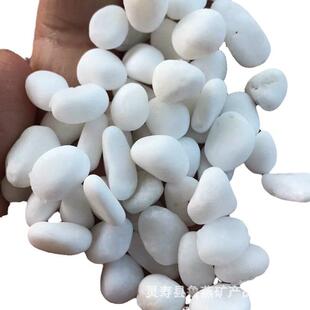 白色卵鹅石碎雪花白盆栽饰白石子鹅卵石园艺庭装院209造景白色砾